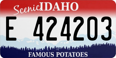 ID license plate E424203