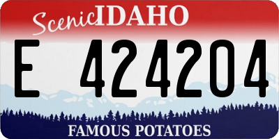 ID license plate E424204
