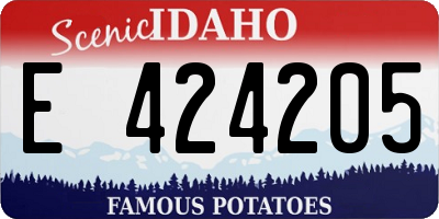 ID license plate E424205