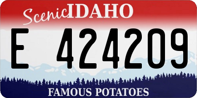 ID license plate E424209