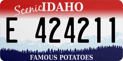 ID license plate E424211