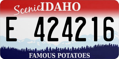 ID license plate E424216
