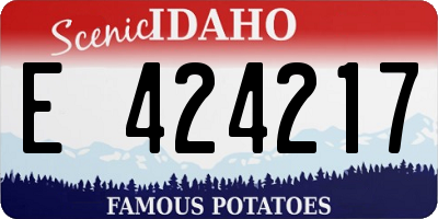 ID license plate E424217