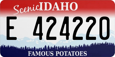 ID license plate E424220