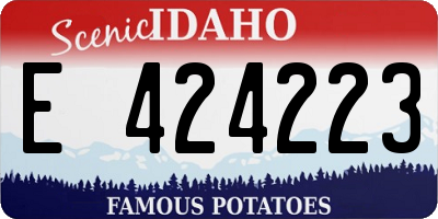 ID license plate E424223