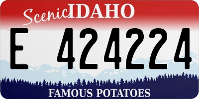 ID license plate E424224