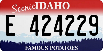 ID license plate E424229