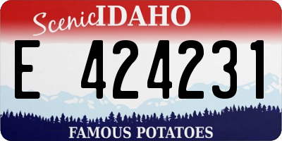 ID license plate E424231