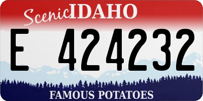 ID license plate E424232