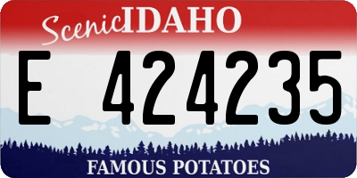 ID license plate E424235