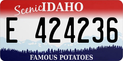 ID license plate E424236