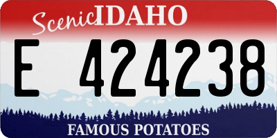ID license plate E424238