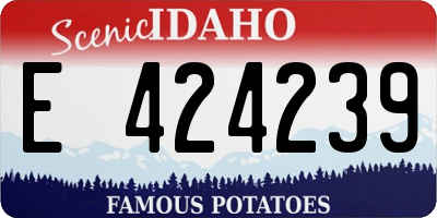 ID license plate E424239