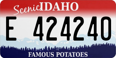 ID license plate E424240