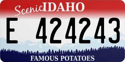 ID license plate E424243
