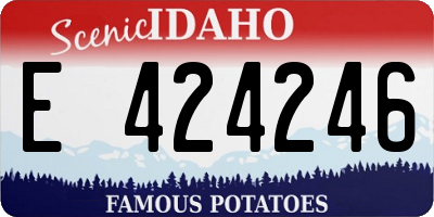 ID license plate E424246