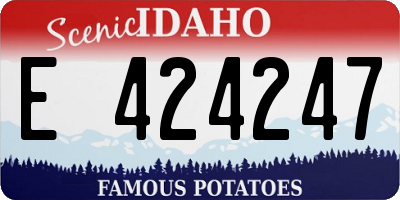 ID license plate E424247