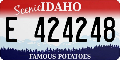 ID license plate E424248