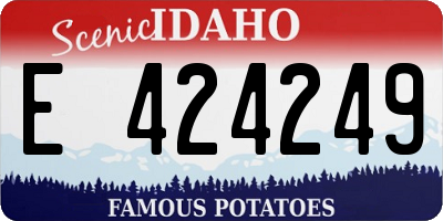 ID license plate E424249