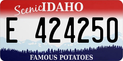 ID license plate E424250