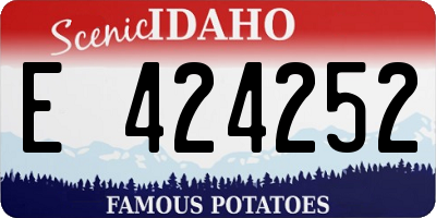 ID license plate E424252