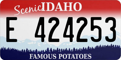ID license plate E424253