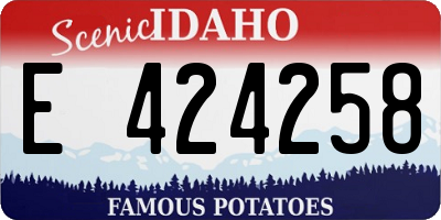 ID license plate E424258