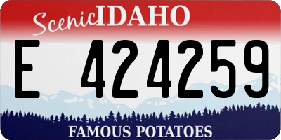 ID license plate E424259