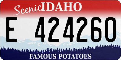 ID license plate E424260