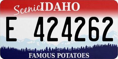 ID license plate E424262