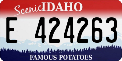 ID license plate E424263