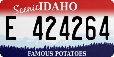 ID license plate E424264