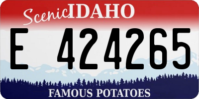 ID license plate E424265