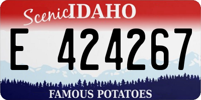 ID license plate E424267