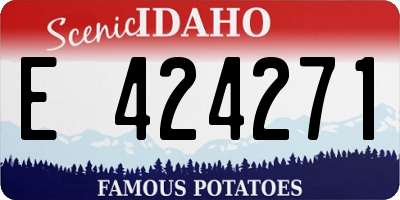 ID license plate E424271