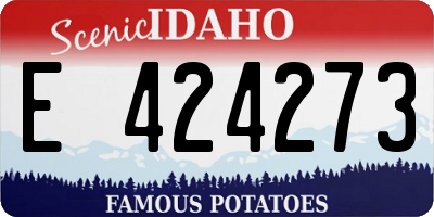 ID license plate E424273