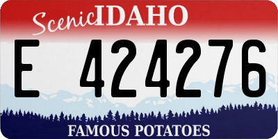 ID license plate E424276