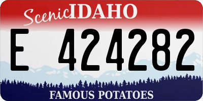 ID license plate E424282