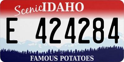 ID license plate E424284