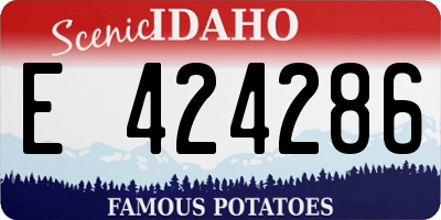 ID license plate E424286