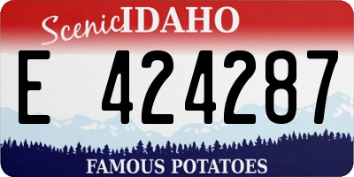 ID license plate E424287
