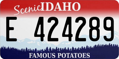 ID license plate E424289