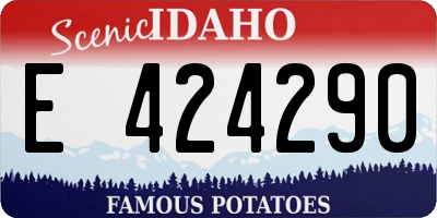 ID license plate E424290