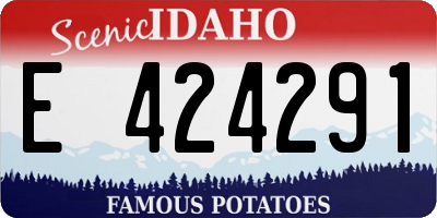 ID license plate E424291