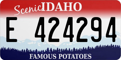 ID license plate E424294