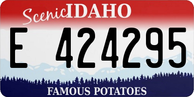 ID license plate E424295