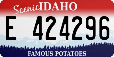 ID license plate E424296