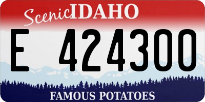 ID license plate E424300