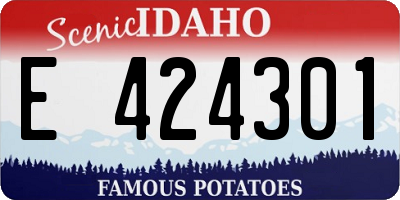 ID license plate E424301