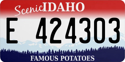 ID license plate E424303